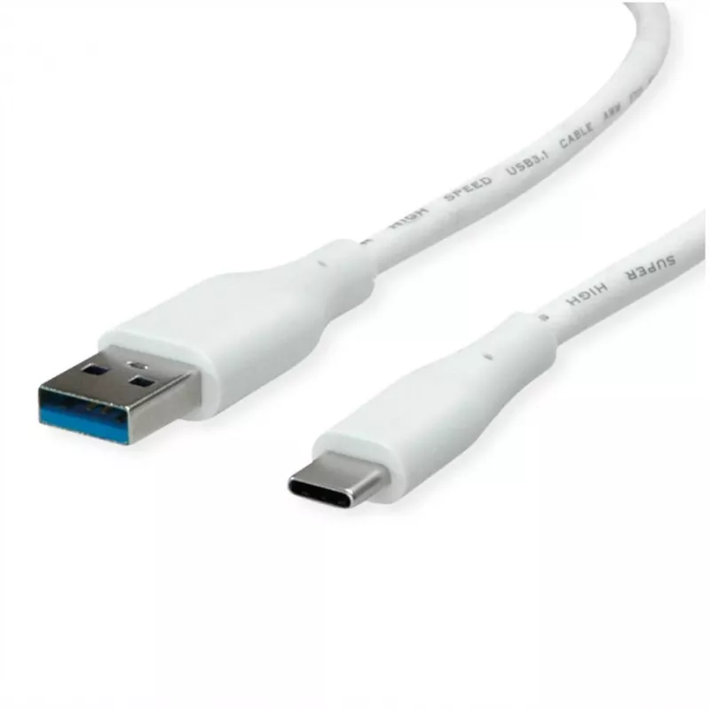 ROTRONIC-SECOMP VALUE - USB-Kabel - USB Typ A (M) zu USB-C (M)