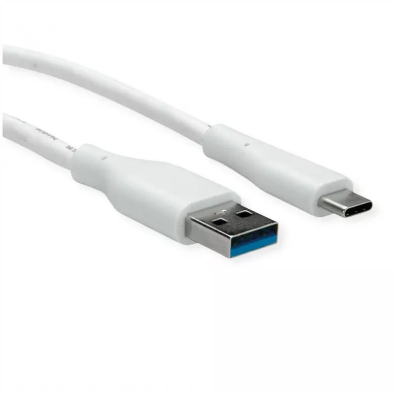 ROTRONIC-SECOMP VALUE - USB-Kabel - USB Typ A (M) zu USB-C (M)