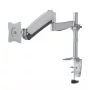 Newstar flach Screen Desk Mount (CLAMP/GROMMET) 10-30 Silver