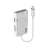 Lindy USB Typ C auf Triple Display Konverter, 3840 x 2160 Pixel
