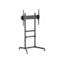 Equip Economy TV-Trolley 55 Zoll - 100 Zoll, 2,54 m (100 Zoll), 100 x 100 mm, 800 x 600 mm, -10 - 5°, Kunststoff, Edelstahl, Schwarz