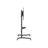 Equip Economy TV-Trolley 55 Zoll - 100 Zoll, 2,54 m (100 Zoll), 100 x 100 mm, 800 x 600 mm, -10 - 5°, Kunststoff, Edelstahl, Schwarz