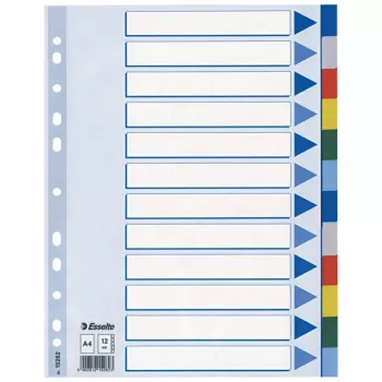 Esselte Register PP A4 12 Tabs, Blank-Tab-Register, Polyvinylchlorid (PVC), Mehrfarbig, A4, 2, 4, 6, 225 mm