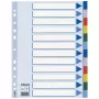 Esselte Register PP A4 12 Tabs, Blank-Tab-Register, Polyvinylchlorid (PVC), Mehrfarbig, A4, 2, 4, 6, 225 mm
