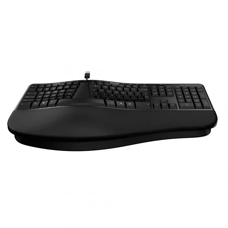 Incase Designed by Microsoft Ergonomische Tastatur Office USB QWERTY Schwarz