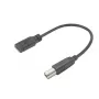 ACT USB-C-Buchse auf USB-B 2.0 Druckeradapterkabel 0,2 m