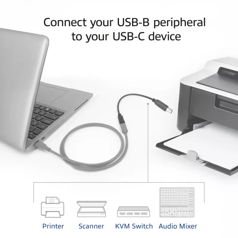 ACT USB-C-Buchse auf USB-B 2.0 Druckeradapterkabel 0,2 m