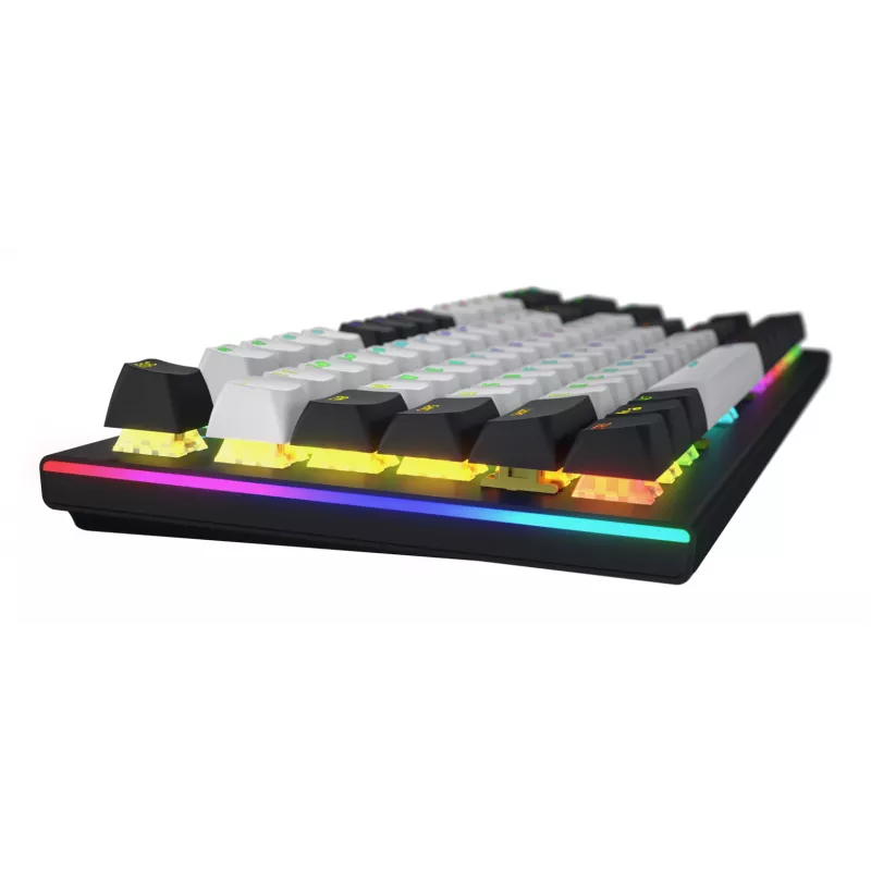 HATOR Gravity TKL Tastatur Gaming USB QWERTY US English Schwarz