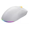 HATOR Quasar 3 Wireless Maus Gaming Beidhändig RF Wireless + Bluetooth + USB Typ-A Optisch 12000 DPI