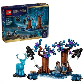 LEGO Harry Potter 76475 Verbotener Wald: Expecto Patronum (244 Teile)