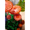 LEGO Botanicals 11505 Waldpilze (806 Teile)