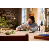 LEGO Botanicals 11505 Waldpilze (806 Teile)