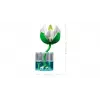 LEGO Botanicals 11511 Seerosen (259 Teile)
