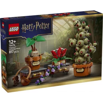 LEGO Harry Potter 76474 Hogwarts Kräuterkunde-Pflanzen (817 Teile)