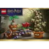 LEGO Harry Potter 76474 Hogwarts Kräuterkunde-Pflanzen (817 Teile)