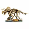 LEGO Jurassic World Dinosaur Fossils: Triceratops 77985 (1154 Teile)