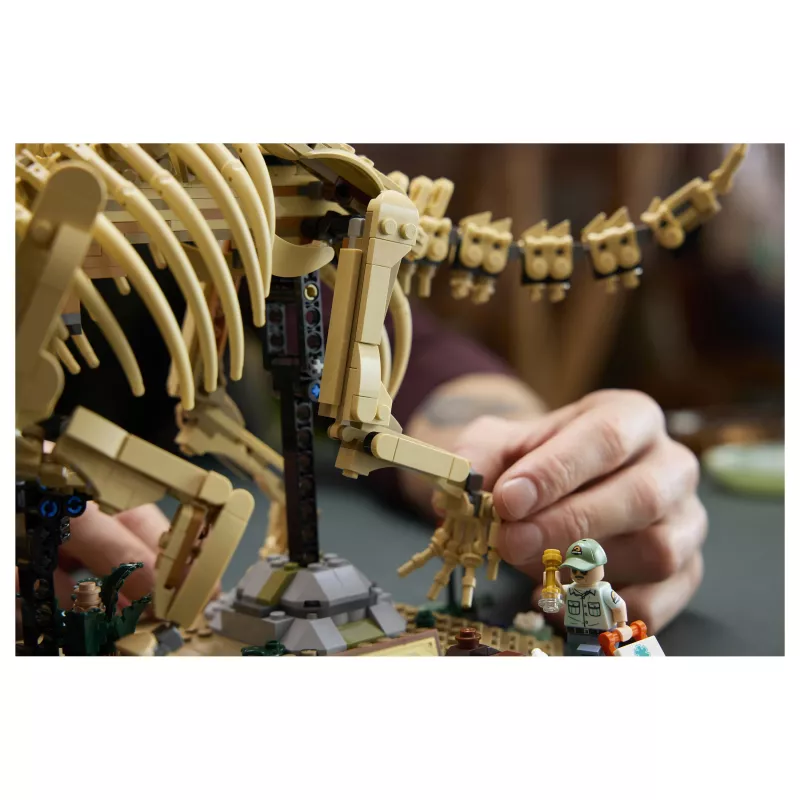 LEGO Jurassic World Dinosaur Fossils: Triceratops 77985 (1154 Teile)