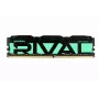 PC-Speicher DDR4 Rival Radiant 32GB (1x32) 3200MHz CL16 Grün