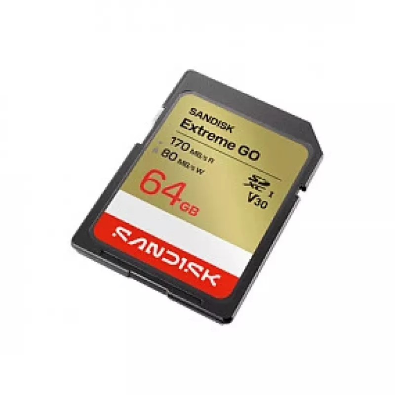 SanDisk Extreme Go SDXC 64GB UHS-I Speicherkarte (170MB/s Lesen, V30, 4K)