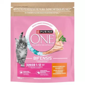 Purina ONE Junior Chicken & Whole Grains Trockenfutter für Hunde 750g