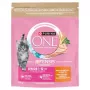 Purina ONE Junior Chicken & Whole Grains Trockenfutter für Hunde 750g