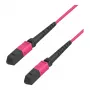 EFB-Elektronik MTP Female auf MTP Female 12-Faser OM4 Multimode Patchkabel, LSZH, Erikaviolett, Typ B, 3m