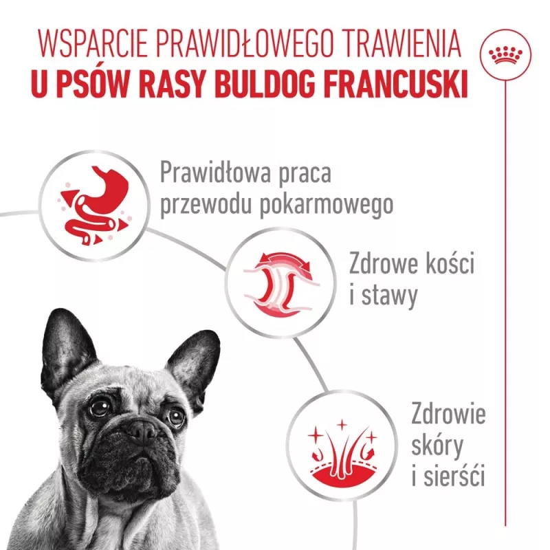ROYAL CANIN French Bulldog Adult Digestive Health Loaf Box - Nassfutter für Hunde - 12x85g