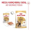 ROYAL CANIN French Bulldog Adult Digestive Health Loaf Box - Nassfutter für Hunde - 12x85g