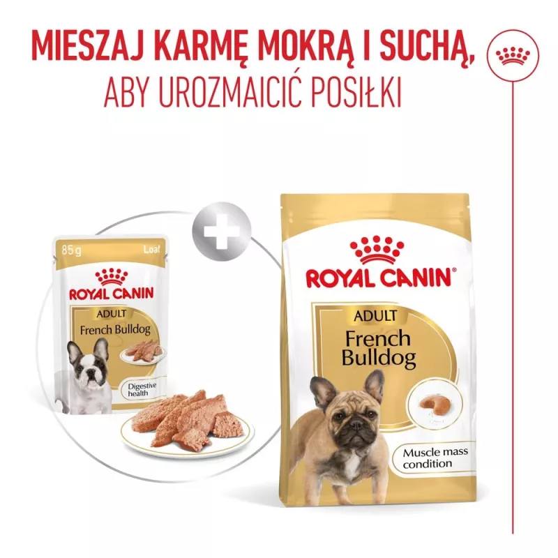 ROYAL CANIN French Bulldog Adult Digestive Health Loaf Box - Nassfutter für Hunde - 12x85g