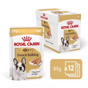 ROYAL CANIN French Bulldog Adult Digestive Health Loaf Box - Nassfutter für Hunde - 12x85g