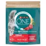 Purina ONE Sterilcat Trockenfutter für Katzen Rind & Weizen 750g