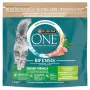 Purina ONE Indoor Formula Katze Truthahn 1,4 kg