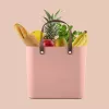 Rotho Multibag Albula Style 25L Aufbewahrungsbox, Meadow Rose