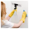 MPM MDS-01 Fenstersauger 28cm 150ml Schwarz/Grün