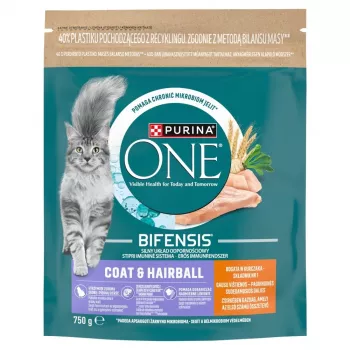 Purina ONE Coat & Hairball Chicken Whole Grains Trockenfutter für Katzen 750g