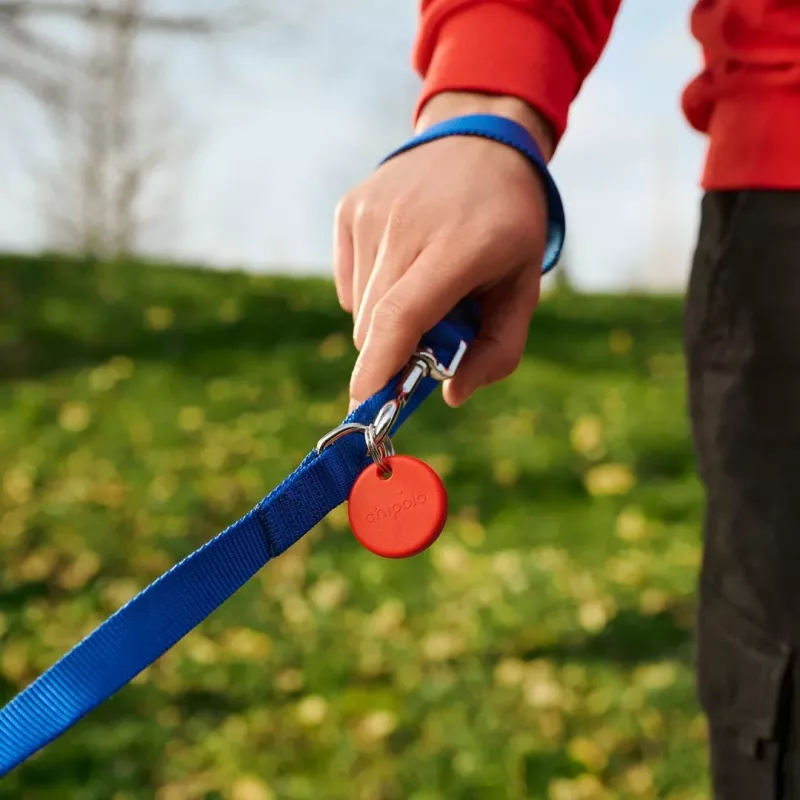 Chipolo POP Bluetooth Tracker mit austauschbarer Batterie für iOS & Android, Blau