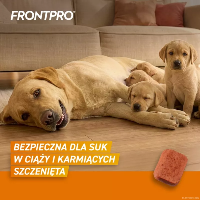 FRONTPRO Floh- und Zeckentabletten für Hunde (25-50 kg) - 3x 136 mg Afoxolaner Kautabletten