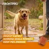 FRONTPRO Floh- und Zeckentabletten für Hunde (25-50 kg) - 3x 136 mg Afoxolaner Kautabletten