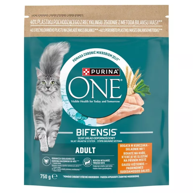 Purina One Mini Active Hundefutter Huhn & Reis 750g