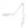 NEDIS MAGLE2WT Tischlupe mit LED-Licht, 2x/4x Vergrößerung, Weiß