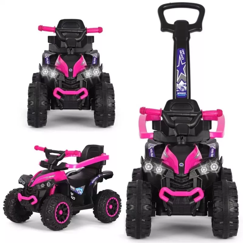 MILLY MALLY Kinderfahrrad mit Schiebestange Wild Pink 12 Zoll