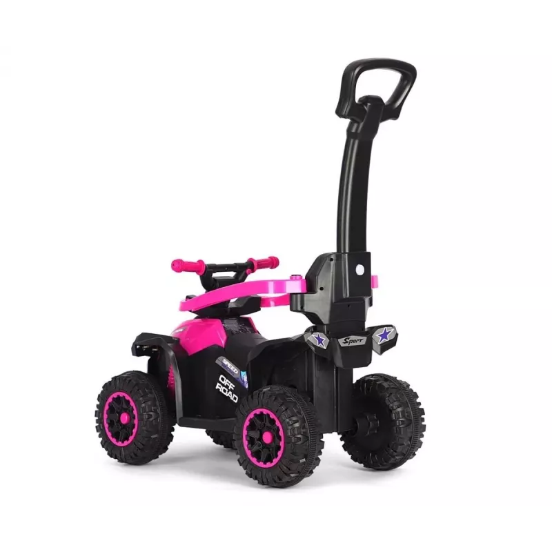 MILLY MALLY Kinderfahrrad mit Schiebestange Wild Pink 12 Zoll