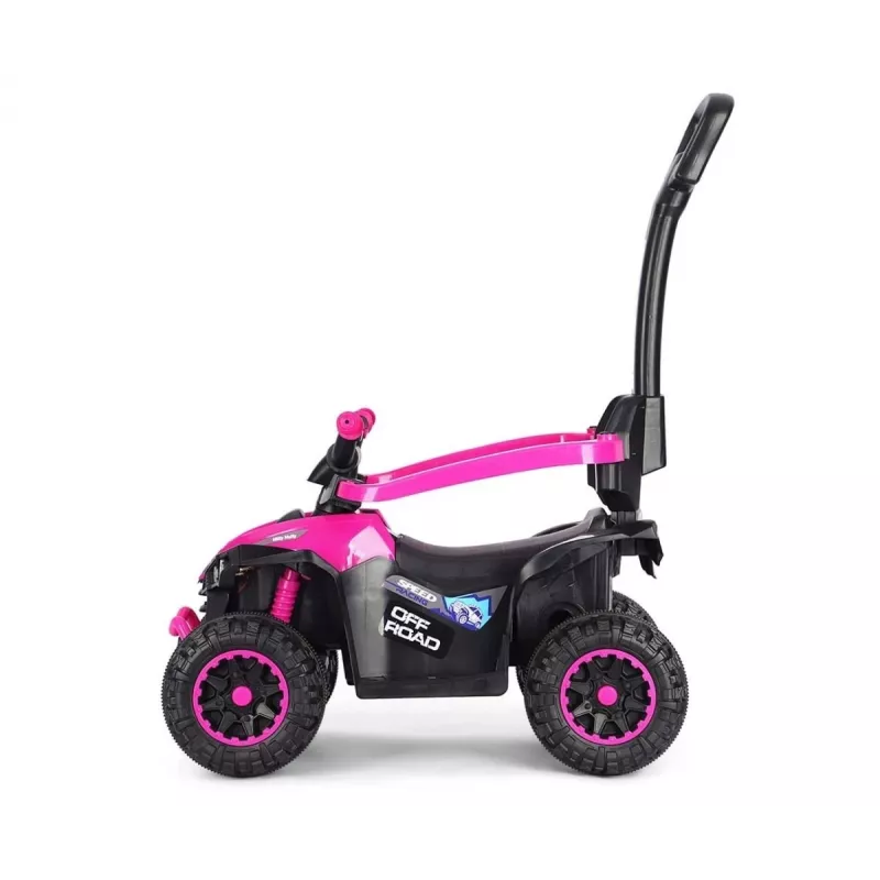 MILLY MALLY Kinderfahrrad mit Schiebestange Wild Pink 12 Zoll