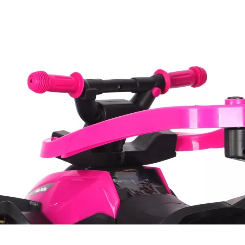 MILLY MALLY Kinderfahrrad mit Schiebestange Wild Pink 12 Zoll