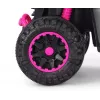 MILLY MALLY Kinderfahrrad mit Schiebestange Wild Pink 12 Zoll