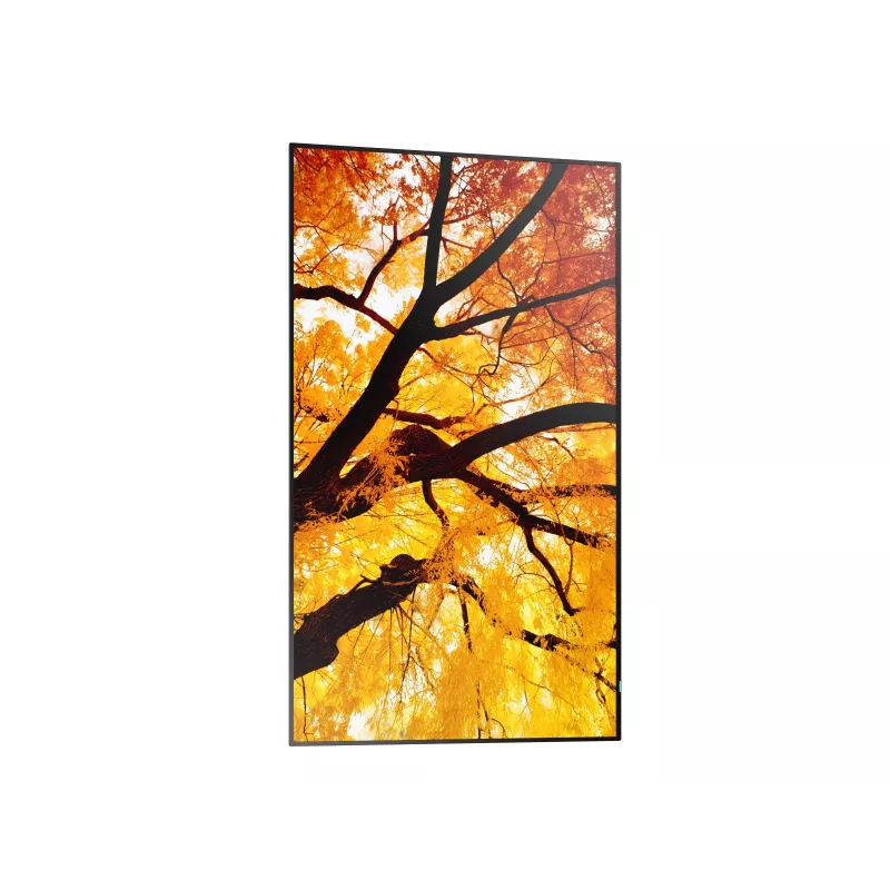 Sharp MultiSync M652 65 Zoll 4K UHD Professional Display 550 cd/m² 24/7