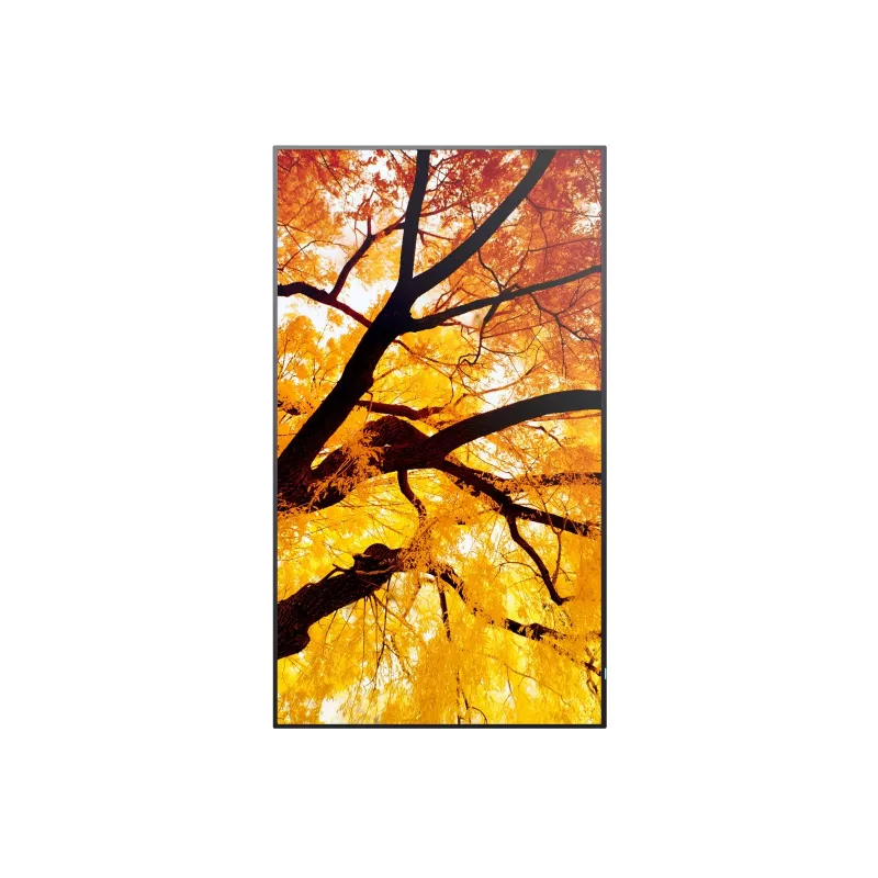 Sharp MultiSync M652 65 Zoll 4K UHD Professional Display 550 cd/m² 24/7