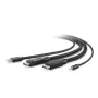 Belkin Secure KVM Combo Cable - Tastatur/Video/Maus/Audio-Kabel - TAA-konform - USB, Mini-Stecker, DisplayPort (Stecker) - 3 m