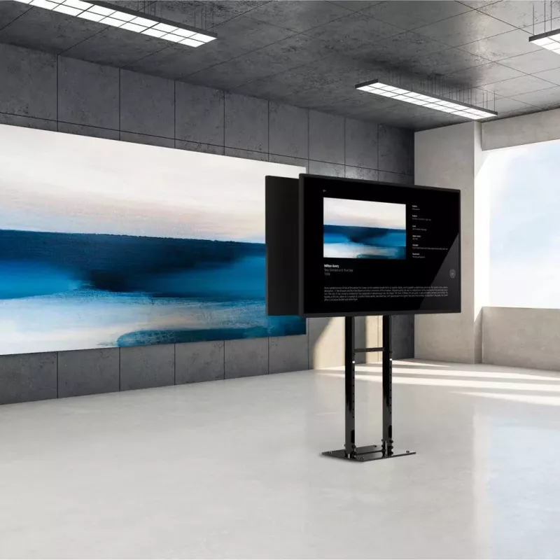 ONKRON FPRO2L-20-B Mobiler TV-Wagen für 55-100 Zoll Fernseher, Schwarz