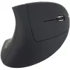 Equip 245110 Vertikale ergonomische Funkmaus - Rechtshänder - 2,4 GHz - USB-Empfänger - Schwarz
